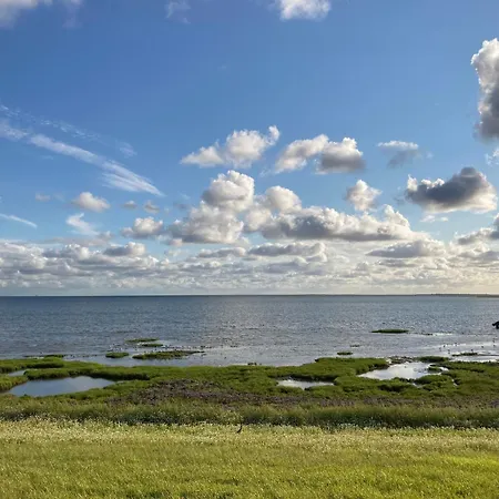 Apartment Haus Treibgut 235 - 5 Juist